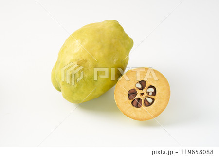 カリンの果実 イメージ カリンの果実 イメージ 119658088