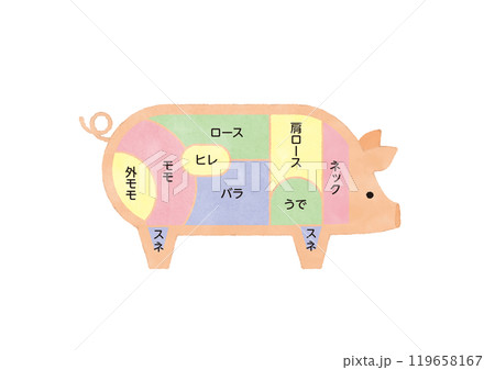 豚肉の部位 説明イラスト 図説 豚肉の部位 説明イラスト 図説 119658167
