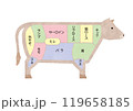 牛肉の部位　説明イラスト　図説 119658185