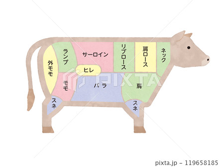 牛肉の部位　説明イラスト　図説 119658185