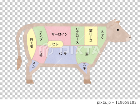 牛肉の部位　説明イラスト　図説 119658185