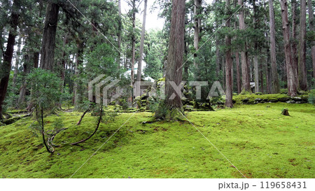 平泉寺白山神社 平泉寺白山神社 119658431