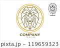 Elegance Majestic Lion Head in golden circle 119659323