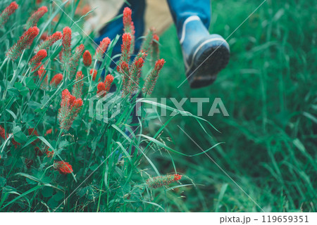 ストロベリーキャンドルのお花摘み 119659351