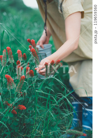 ストロベリーキャンドルのお花摘み ストロベリーキャンドルのお花摘み 119659360