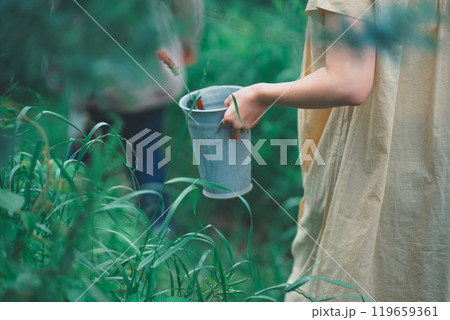 ストロベリーキャンドルのお花摘み 119659361