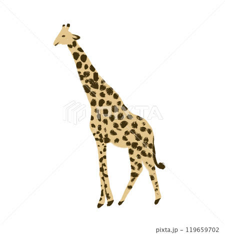 Hand drawn illustration of wild african giraffe. Zoo animal with long neck in artistic modern style, wildlife safari print, isolated on white background. Cute animal standing portrait high character. Hand drawn illustration of wild african giraffe. Zoo animal with long neck in artistic modern style, wildlife safari print, isolated on white background. Cute animal standing portrait high character. 119659702