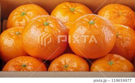 段ボールいっぱいに詰められたみかん 119659977