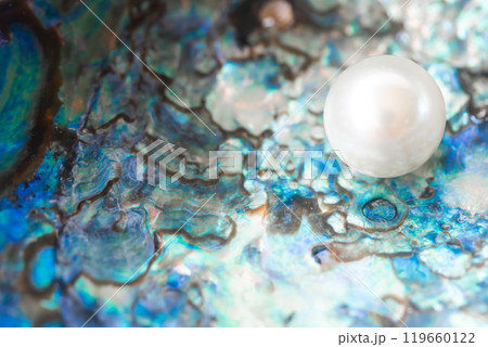 貝殻とイミテーションパール 119660122