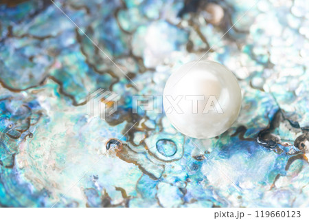 貝殻とイミテーションパール 119660123