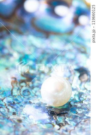 貝殻とイミテーションパール 貝殻とイミテーションパール 119660125