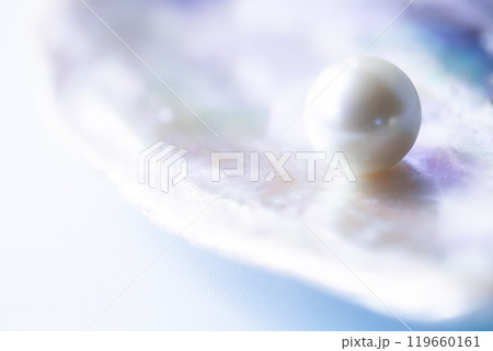 貝片と貝パール 貝片と貝パール 119660161