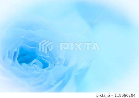 ブルーの薔薇のイメージ (写真素材) ブルーの薔薇のイメージ (写真素材) 119660204