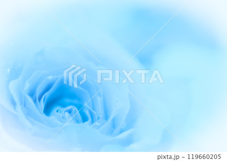 ブルーの薔薇のイメージ (写真素材) ブルーの薔薇のイメージ (写真素材) 119660205