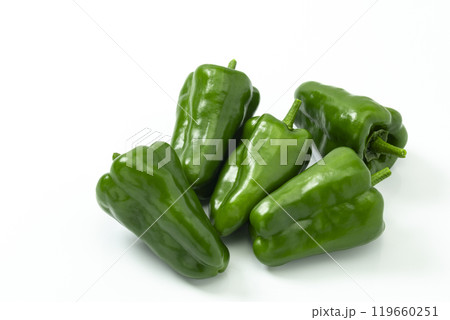 白バックのピーマン 119660251