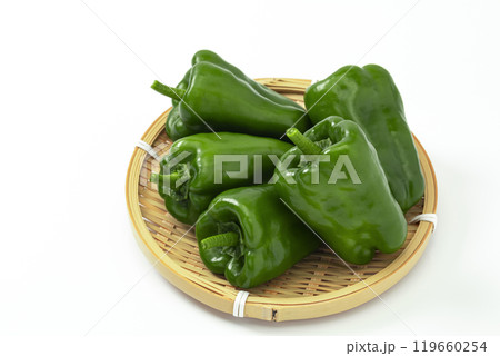 白バックでざるに置いたピーマン 白バックでざるに置いたピーマン 119660254