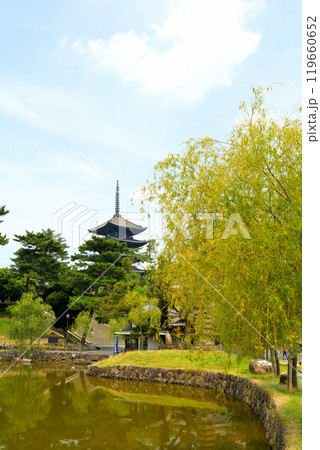 世界遺産・奈良公園 119660652