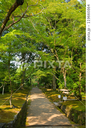 奈良・万葉植物園 奈良・万葉植物園 119660864