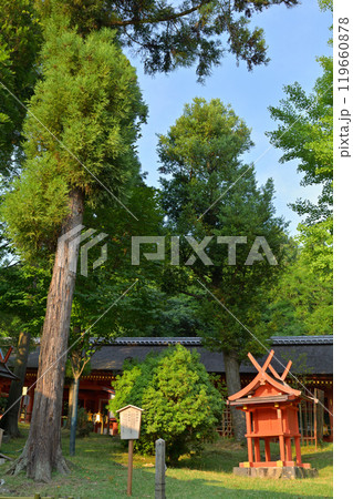 奈良・春日大社 奈良・春日大社 119660878