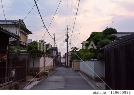 世界遺産・奈良公園 119660958