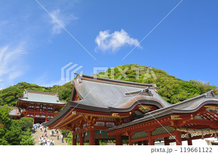 鎌倉・鶴岡八幡宮 鎌倉・鶴岡八幡宮 119661122