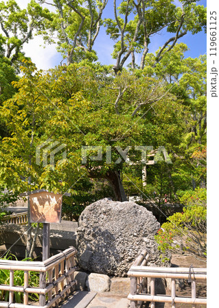 鎌倉・鶴岡八幡宮 鎌倉・鶴岡八幡宮 119661125