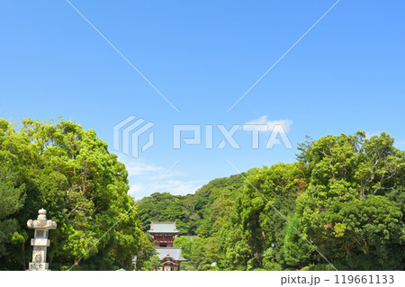 鎌倉・鶴岡八幡宮 鎌倉・鶴岡八幡宮 119661133