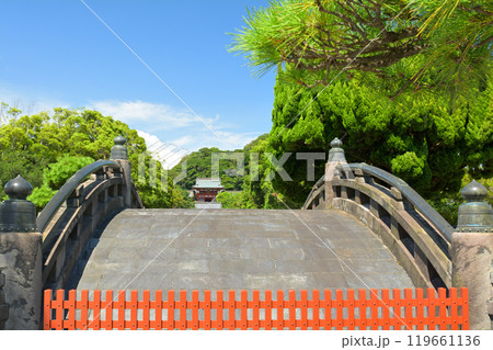 鎌倉・鶴岡八幡宮 鎌倉・鶴岡八幡宮 119661136
