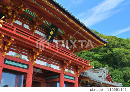 鎌倉・鶴岡八幡宮 鎌倉・鶴岡八幡宮 119661141