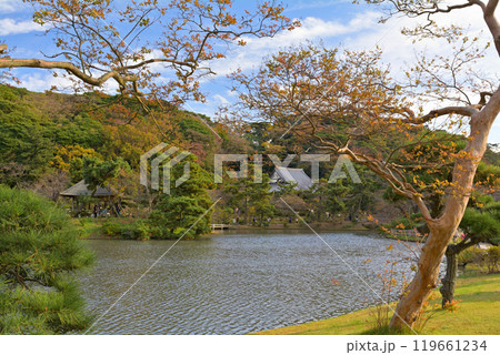 横浜・三渓園 横浜・三渓園 119661234