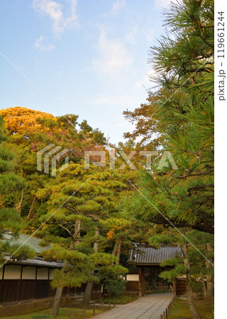 横浜・三渓園 横浜・三渓園 119661244