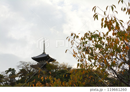 横浜・三渓園 横浜・三渓園 119661260