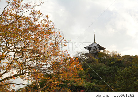 横浜・三渓園 横浜・三渓園 119661262