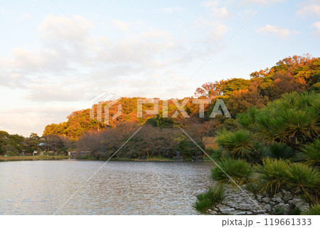 横浜・三渓園 横浜・三渓園 119661333
