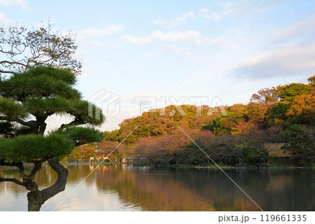 横浜・三渓園 横浜・三渓園 119661335