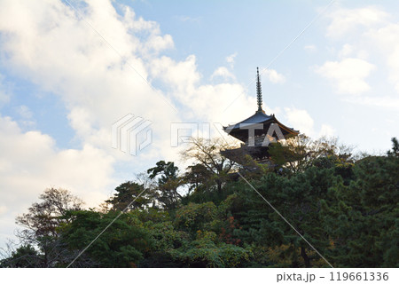 横浜・三渓園 横浜・三渓園 119661336