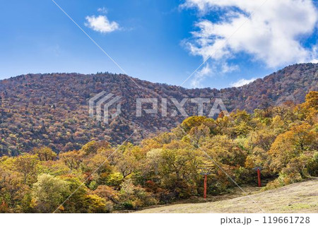 宮城蔵王の紅葉　えぼしスキー場から見た後烏帽子岳方面の紅葉　宮城県蔵王町 119661728