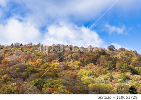 宮城蔵王の紅葉 えぼしスキー場から見た後烏帽子岳方面の紅葉 宮城県蔵王町 宮城蔵王の紅葉 えぼしスキー場から見た後烏帽子岳方面の紅葉 宮城県蔵王町 119661729