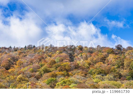 宮城蔵王の紅葉 えぼしスキー場から見た後烏帽子岳方面の紅葉 宮城県蔵王町 宮城蔵王の紅葉 えぼしスキー場から見た後烏帽子岳方面の紅葉 宮城県蔵王町 119661730