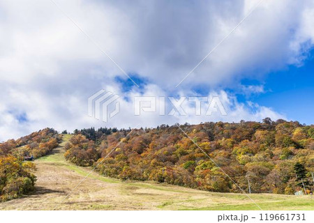 宮城蔵王の紅葉　えぼしスキー場から見た後烏帽子岳方面の紅葉　宮城県蔵王町 119661731