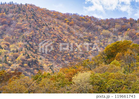 宮城蔵王の紅葉　えぼしスキー場から見た後烏帽子岳方面の紅葉　宮城県蔵王町 119661743