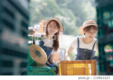 収穫したジャガイモの出荷準備をしている若い女性 119661825