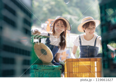 収穫したジャガイモの出荷準備をしている若い女性 収穫したジャガイモの出荷準備をしている若い女性 119661827