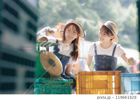 収穫したジャガイモの出荷準備をしている若い女性 収穫したジャガイモの出荷準備をしている若い女性 119661828