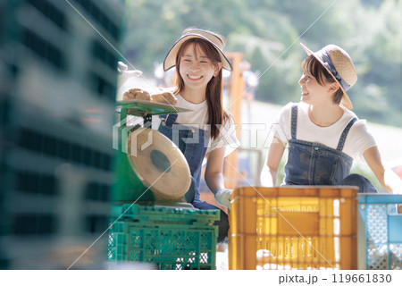 収穫したジャガイモの出荷準備をしている若い女性 収穫したジャガイモの出荷準備をしている若い女性 119661830