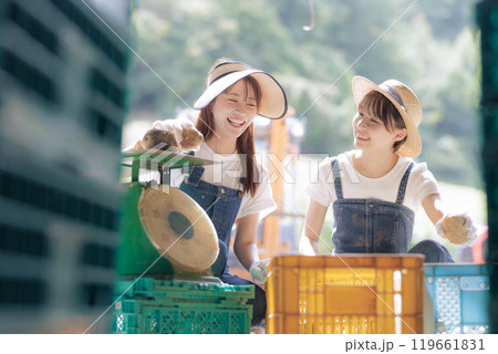収穫したジャガイモの出荷準備をしている若い女性 119661831