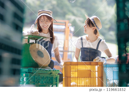 収穫したジャガイモの出荷準備をしている若い女性 119661832