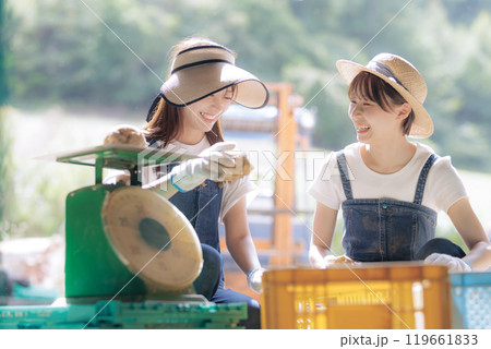 収穫したジャガイモの出荷準備をしている若い女性 119661833