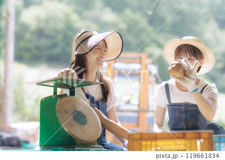 収穫したジャガイモの出荷準備をしている若い女性 収穫したジャガイモの出荷準備をしている若い女性 119661834