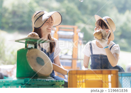 収穫したジャガイモの出荷準備をしている若い女性 119661836